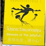 Safety in Krabi, Thailand