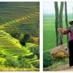 All About Vietnam Country