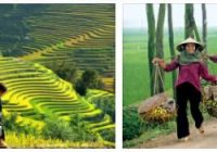All About Vietnam Country